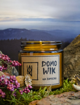 Domowik Na Zapiecku 120ml